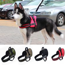 No-pull Dog Harness Outdoor Adventure Pet Vest Padded Handle- Small -Extra Large